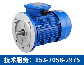 三相異步電機【技術服務：153-7058-2975】